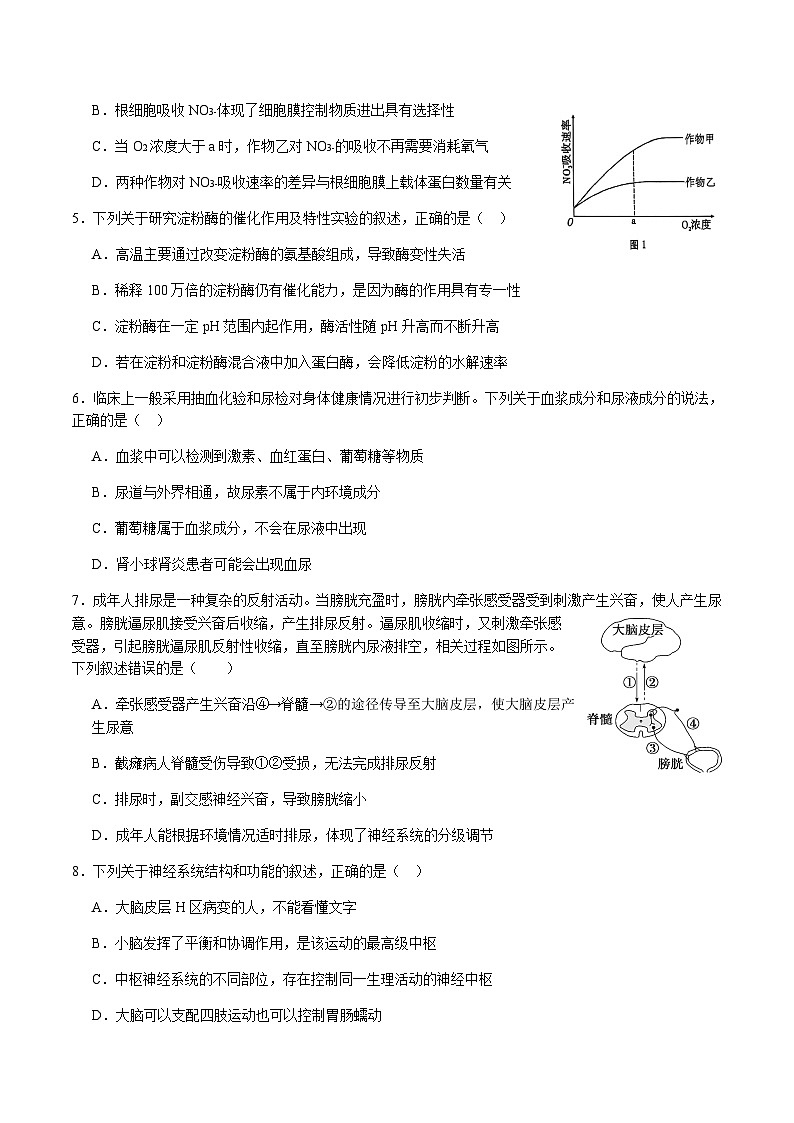 江苏省淮安市重点高中2025届高三上学期12月阶段性检测生物试卷含答案第2页