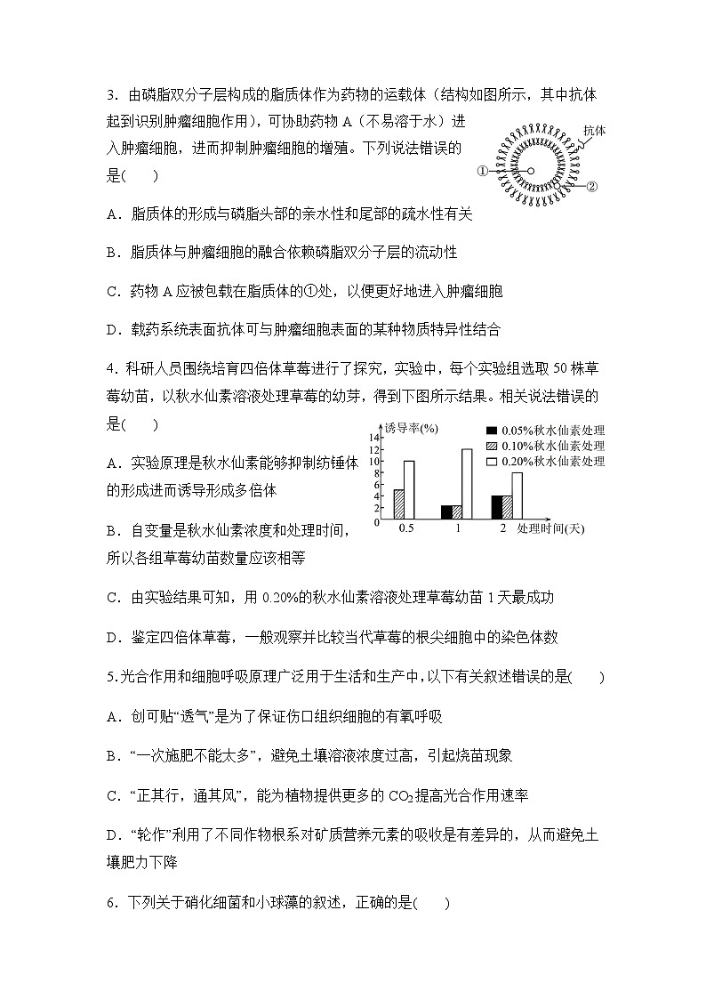 黑龙江省实验中学2024-2025学年高三上学期第12月第四次月考生物试卷含答案第2页