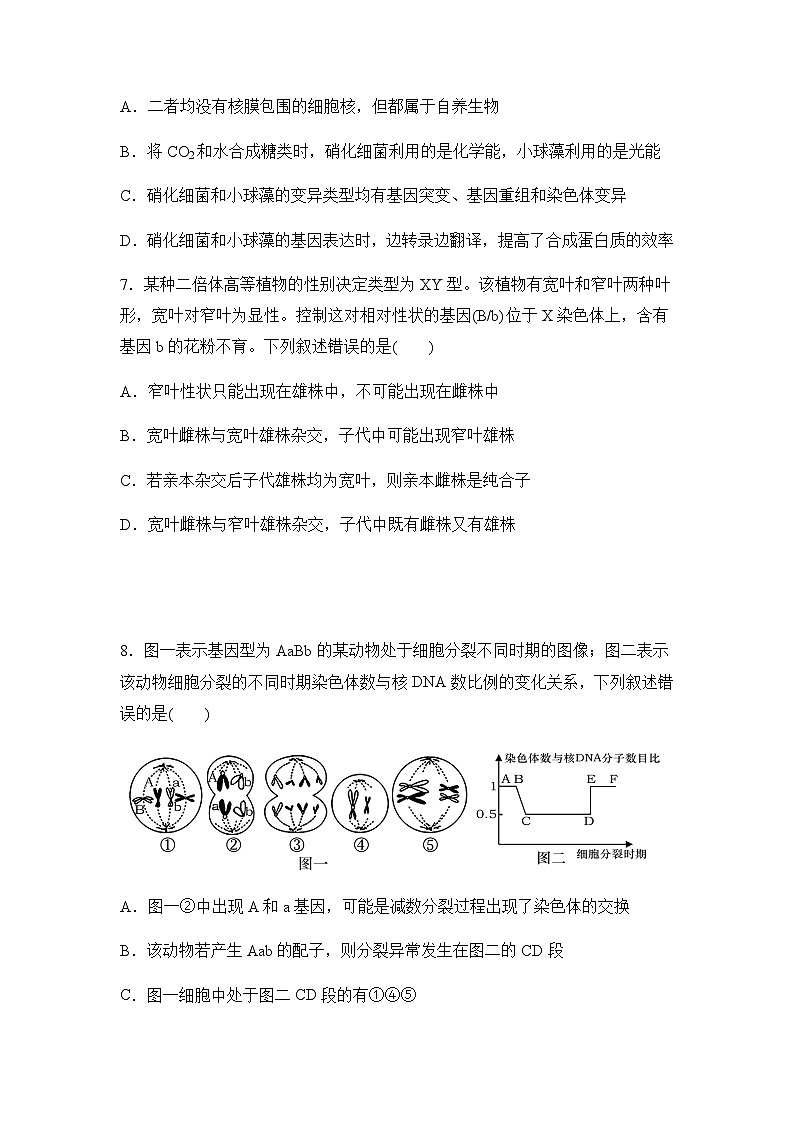 黑龙江省实验中学2024-2025学年高三上学期第12月第四次月考生物试卷含答案第3页