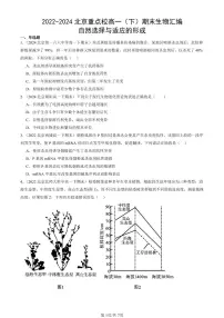 2022-2024北京重点校高一(下)期末真题生物汇编:自然选择与适应的形成