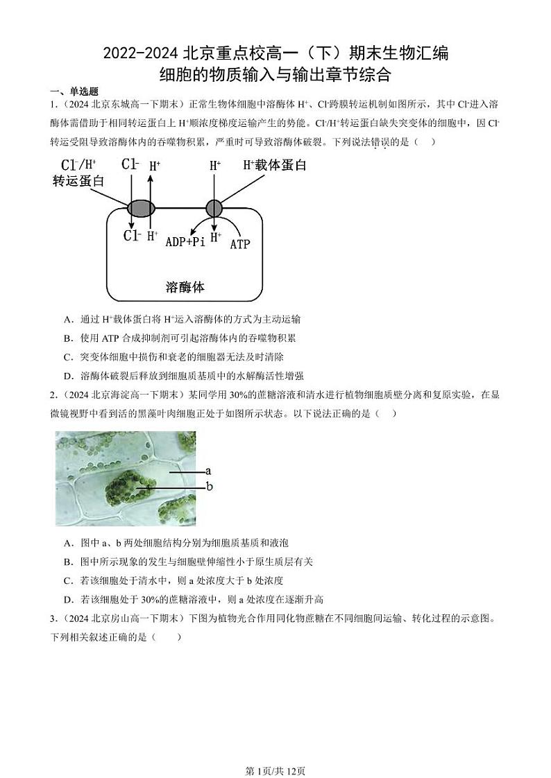 2022-2024北京重点校高一(下)期末真题生物汇编:细胞的物质输入与输出章节综合第1页