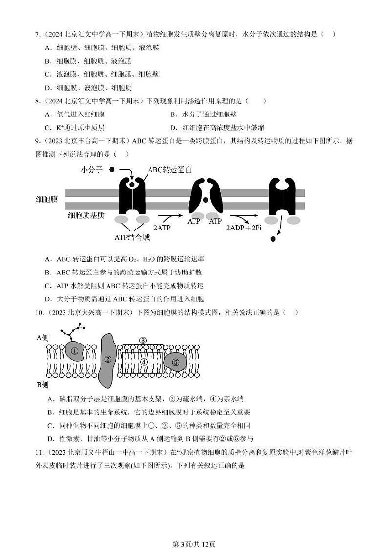 2022-2024北京重点校高一(下)期末真题生物汇编:细胞的物质输入与输出章节综合第3页