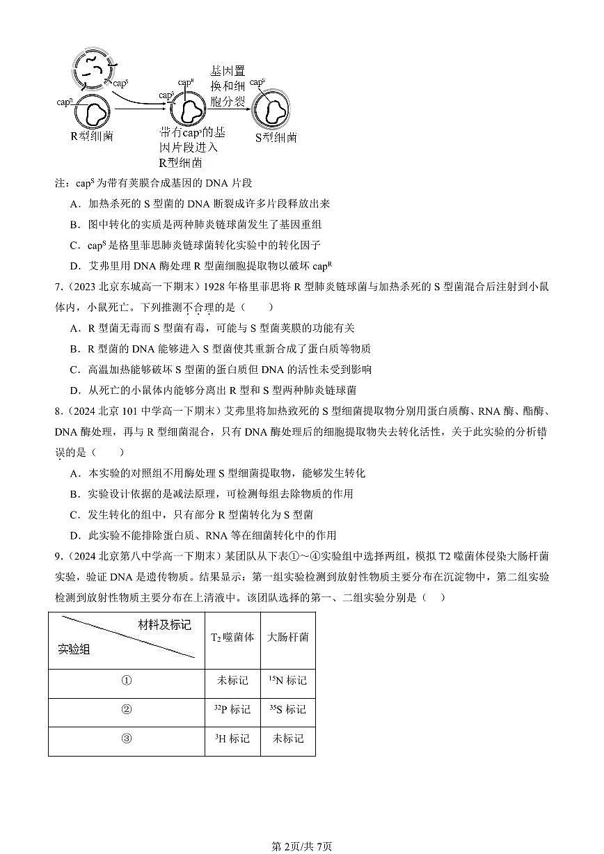 2022-2024北京重點(diǎn)校高一(下)期末真題生物匯編:DNA是主要的遺傳物質(zhì)第2頁(yè)