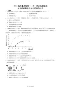 2024北京重點(diǎn)校高一（下）期末真題生物匯編：細(xì)胞的能量供應(yīng)和利用章節(jié)綜合