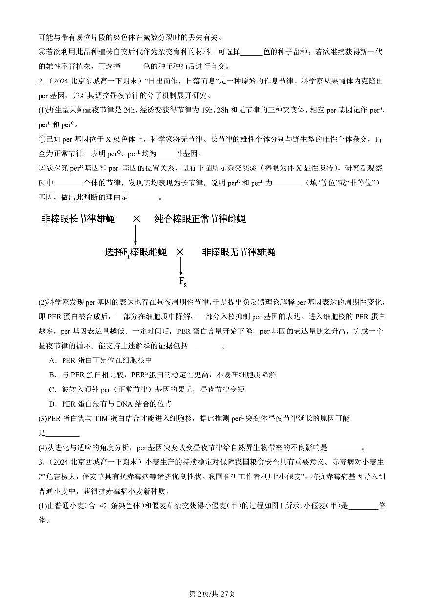 2024北京重點(diǎn)校高一(下)期末真題生物匯編:基因突變及其它變異章節(jié)綜合(非選擇題)第2頁(yè)