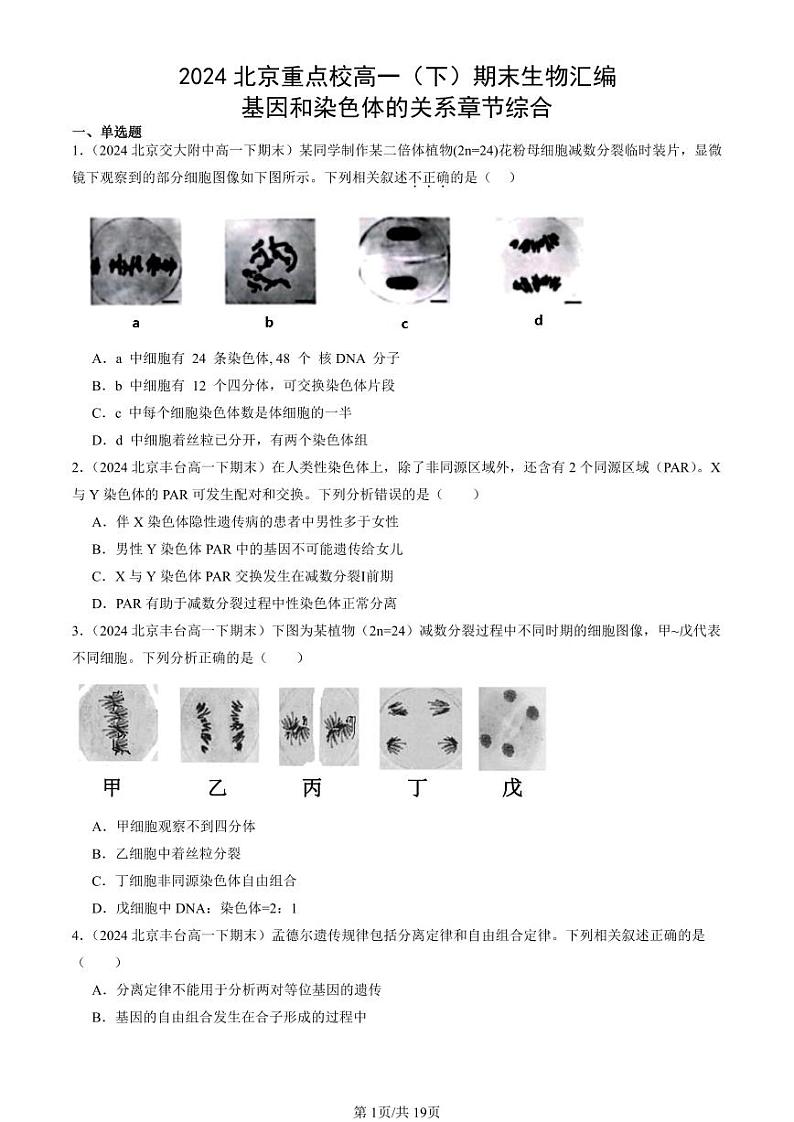 2024北京重点校高一(下)期末真题生物汇编:基因和染色体的关系章节综合第1页