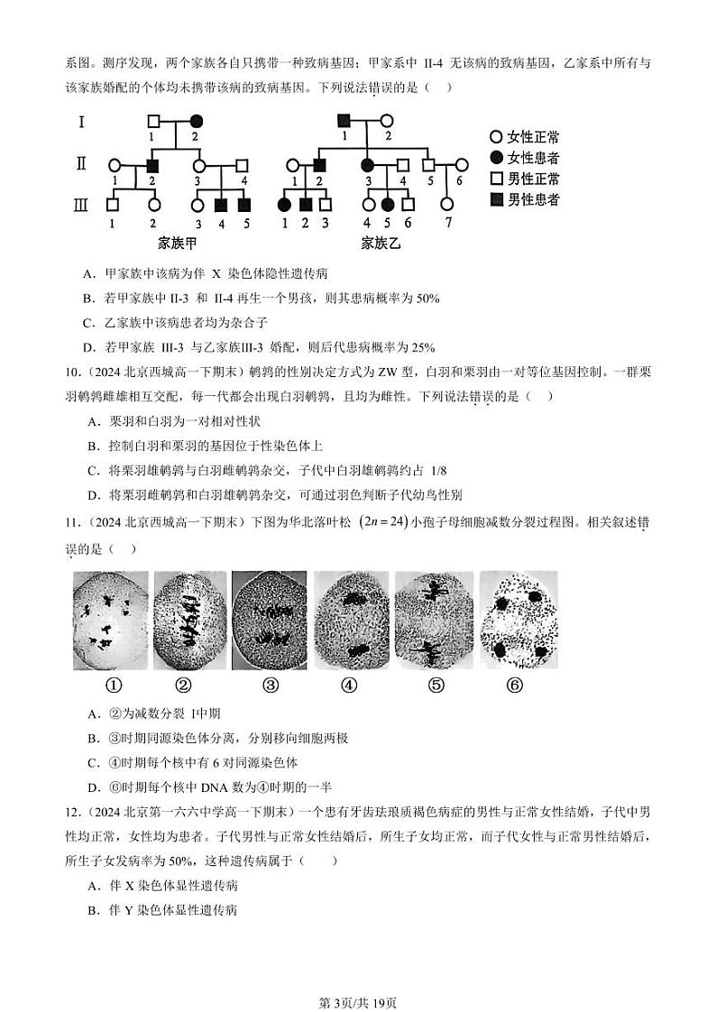2024北京重点校高一(下)期末真题生物汇编:基因和染色体的关系章节综合第3页