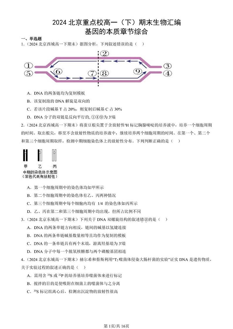 2024北京重点校高一(下)期末真题生物汇编:基因的本质章节综合第1页