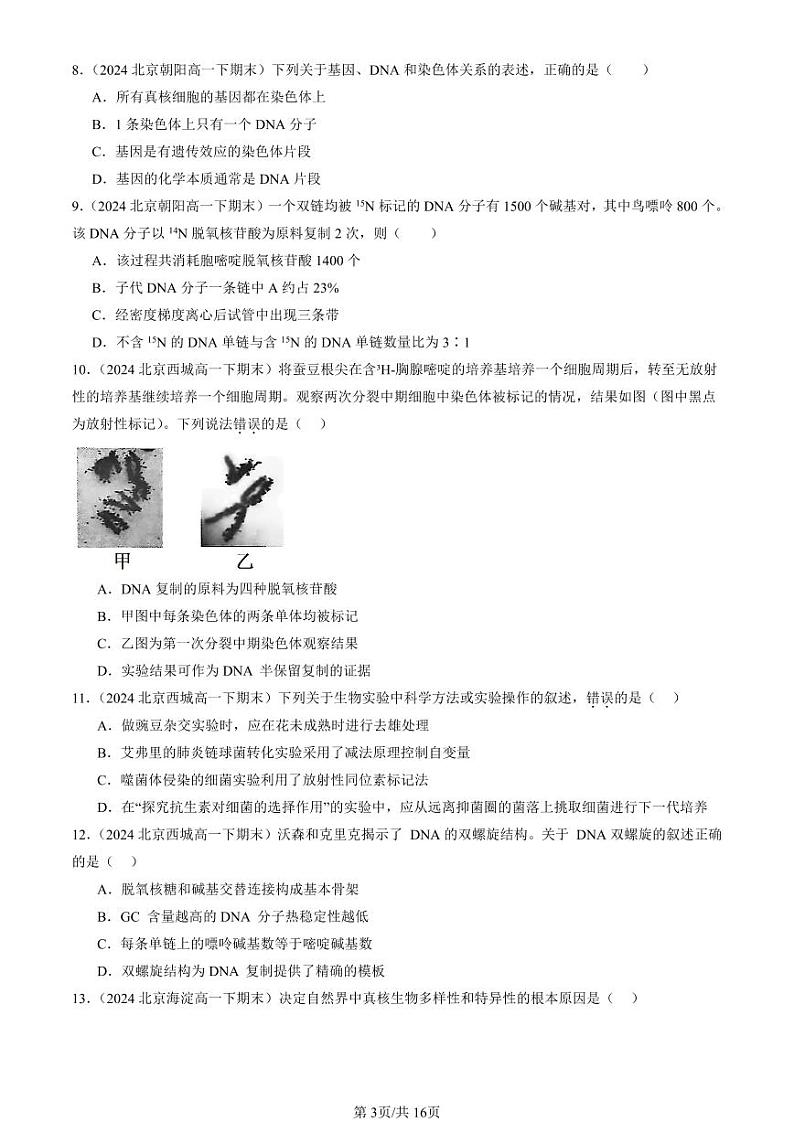 2024北京重点校高一(下)期末真题生物汇编:基因的本质章节综合第3页