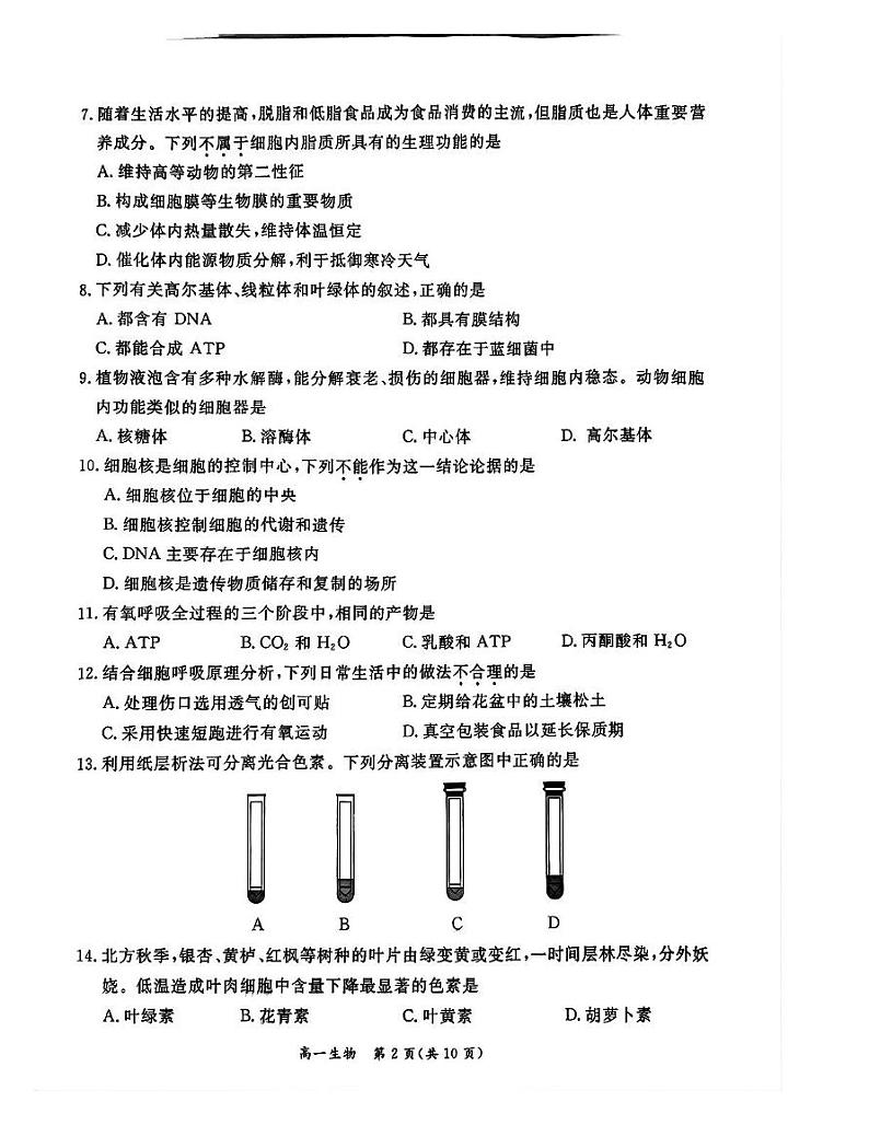 北京市东城区2024-2025学年高一上学期期末统一检测生物试卷第2页