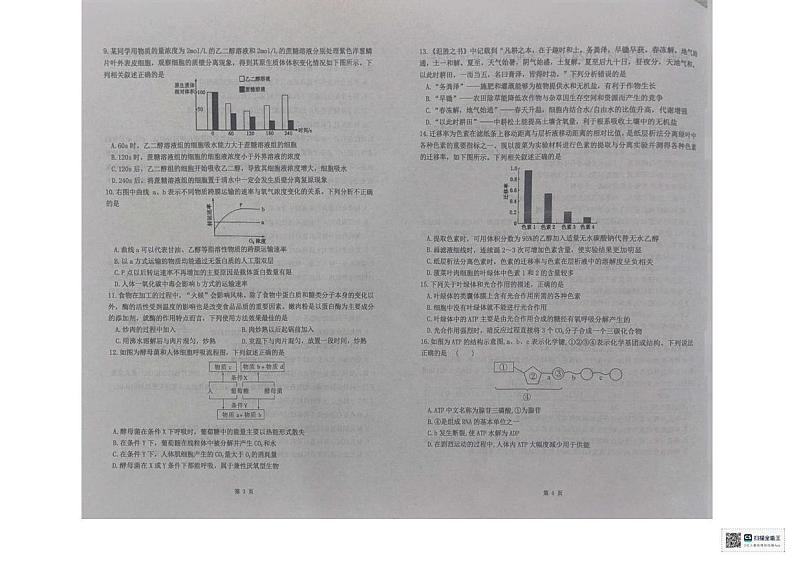 湖南省长沙市雅礼教育集团2024-2025学年高一上学期期末考试生物试题第2页