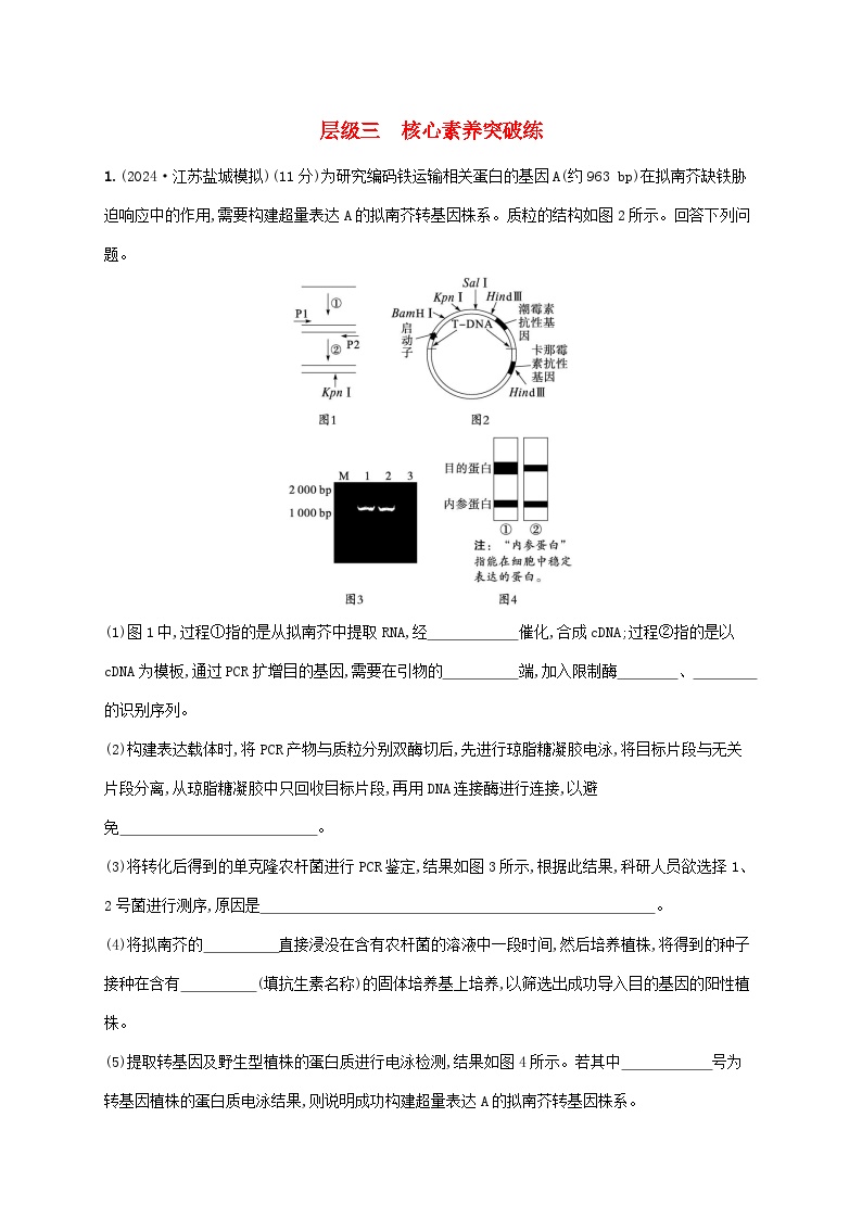 2025届高考生物二轮总复习大单元8生物技术与工程层级三核心素养突破练