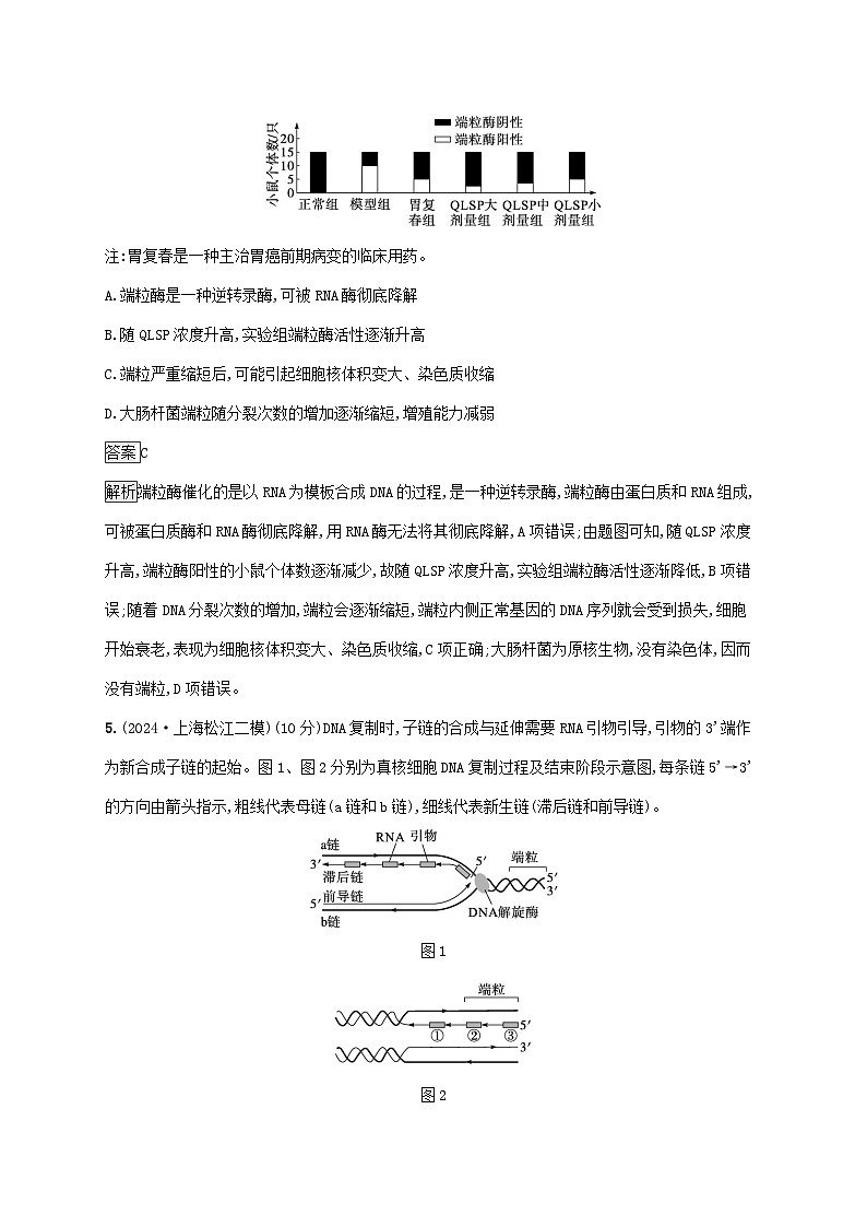 2025届高考生物二轮总复习大单元5遗传的分子基础变异与进化层级二关键突破提升练第3页