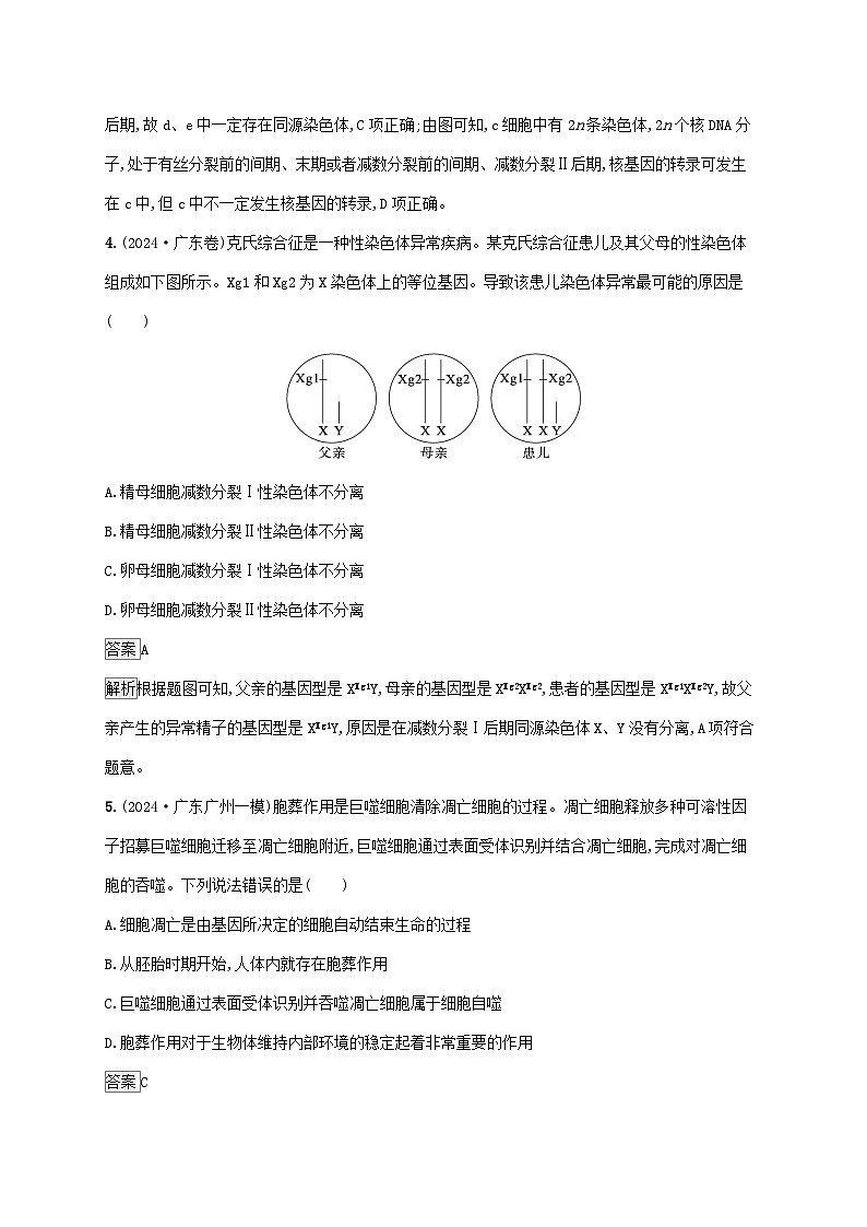 2025届高考生物二轮总复习大单元3细胞的增殖分化衰老和死亡等生命历程层级一基础夯实自测练第3页