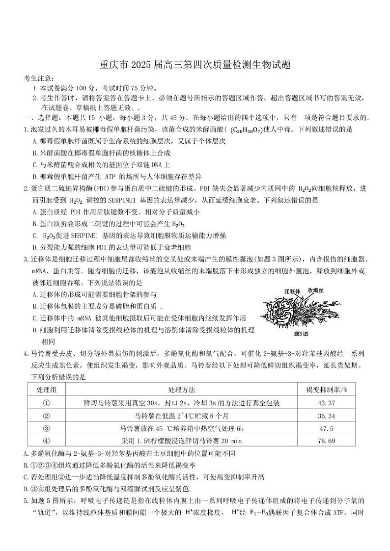 重庆市南开中学校2025届高三上学期12月第四次质量检测生物试题(含答案)第1页