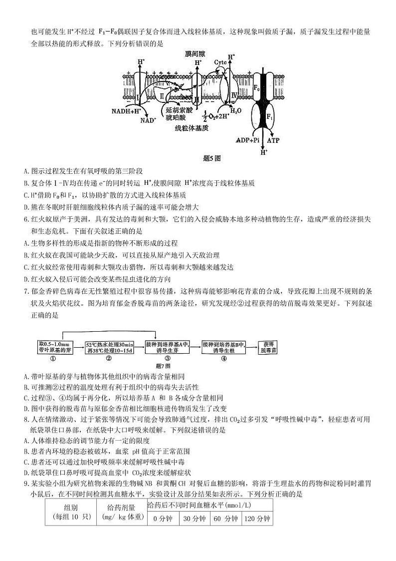 重庆市南开中学校2025届高三上学期12月第四次质量检测生物试题(含答案)第2页