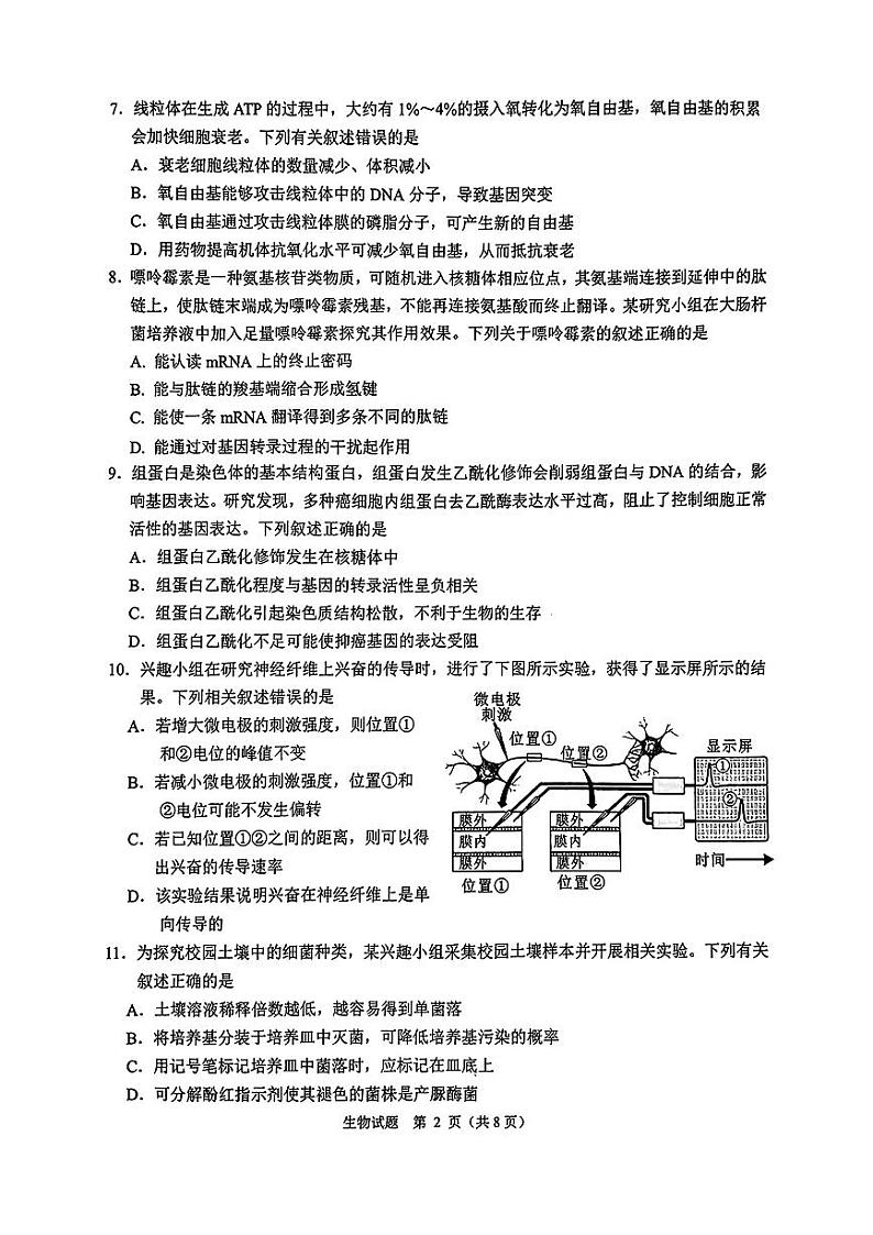 2025届诸暨市高三上学期12月生物试题第2页