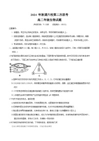 河南省南阳市六校2024-2025学年高二上学期12月第二次联考生物试题（Word版附答案）