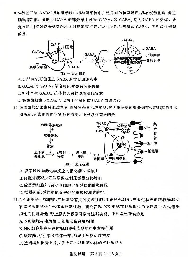 山东省济宁市2025届高三上学期1月期末考试-生物试题+答案第3页