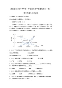 上海市浦东新区2024-2025高三一模教学质量检测生物试题及答案