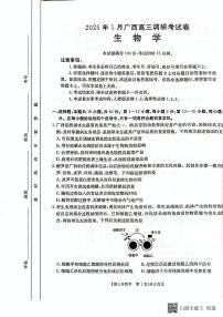 广西壮族自治区部分学校2024-2025学年高三上学期1月期末生物试题