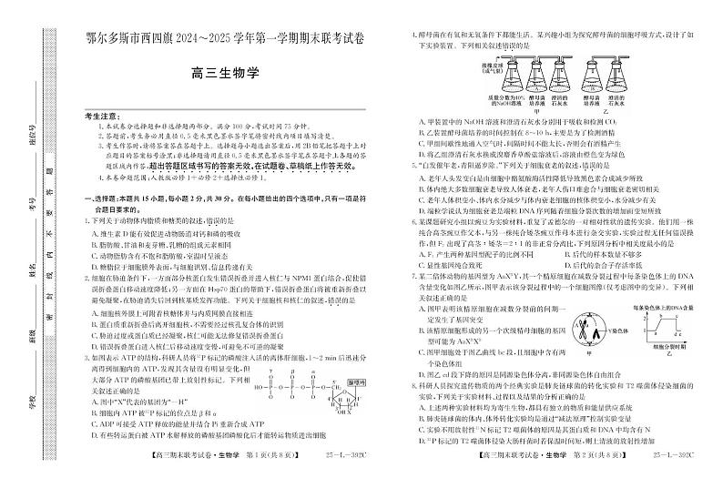 内蒙古鄂尔多斯市西四旗2024-2025学年高三上学期期末联考生物试题第1页
