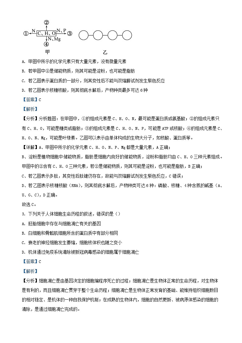 天津市2023_2024学年高三生物上学期12月月考试题含解析第2页