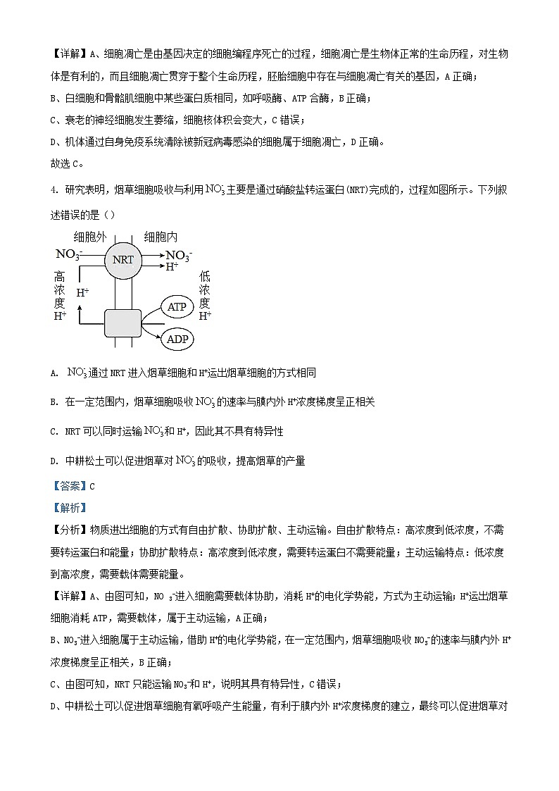 天津市2023_2024学年高三生物上学期12月月考试题含解析第3页
