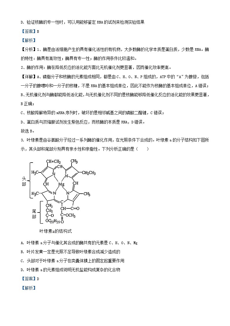 新疆石河子市2023_2024学年高三生物上学期11月月考试题含解析第2页