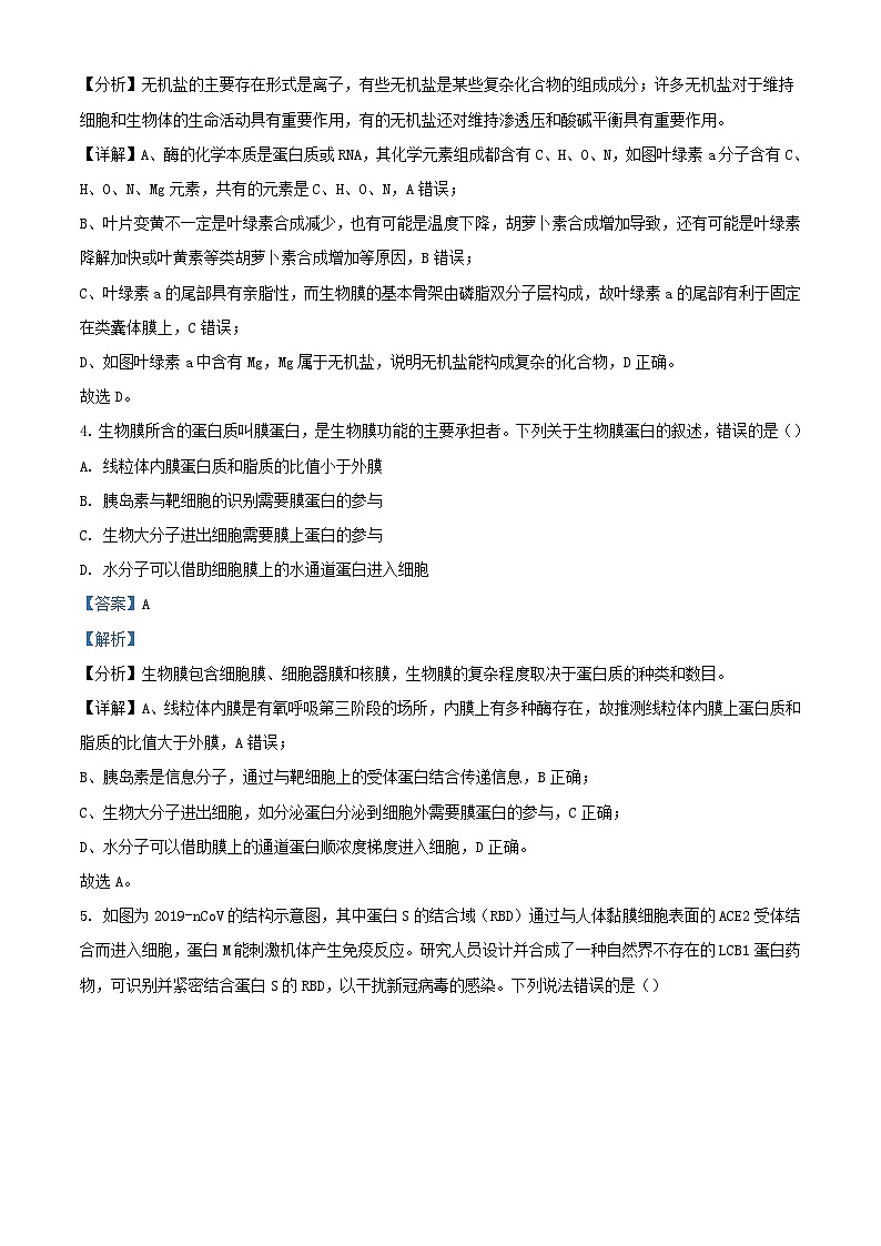 新疆石河子市2023_2024学年高三生物上学期11月月考试题含解析第3页