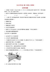浙江省2023_2024学年高一生物上学期12月月考试题含解析