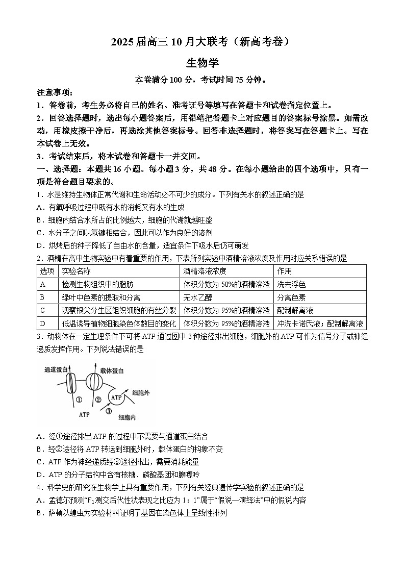 云南省德宏傣族景颇族自治州民族第一中学等校2024-2025学年高三上学期10月月考生物试题及参考答案第1页