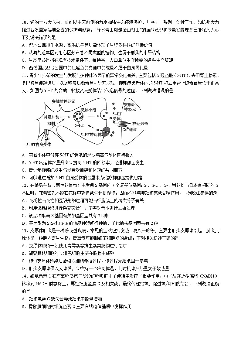 云南省德宏傣族景颇族自治州民族第一中学等校2024-2025学年高三上学期10月月考生物试题及参考答案第3页