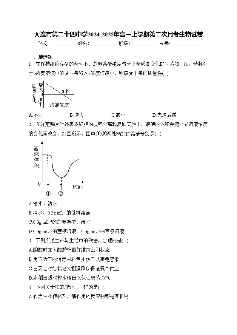 大连市第二十四中学2024-2025年高一上学期第二次月考生物试卷(含答案)第1页