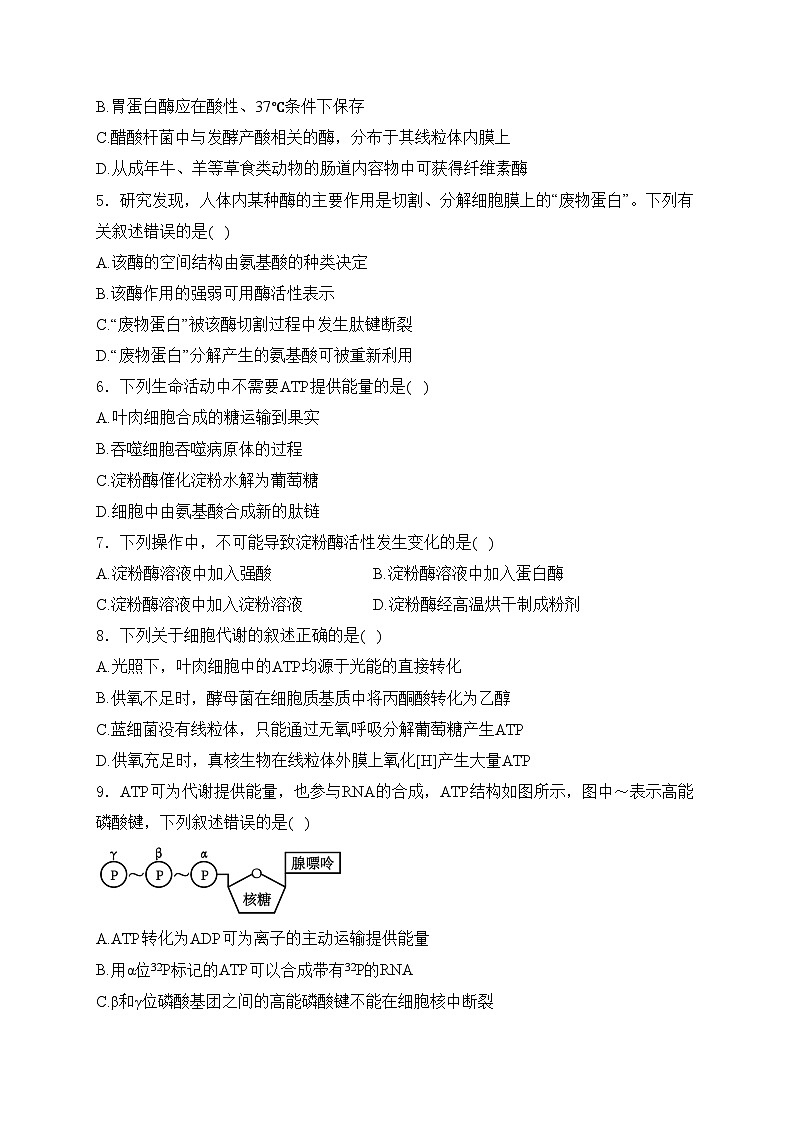 大连市第二十四中学2024-2025年高一上学期第二次月考生物试卷(含答案)第2页