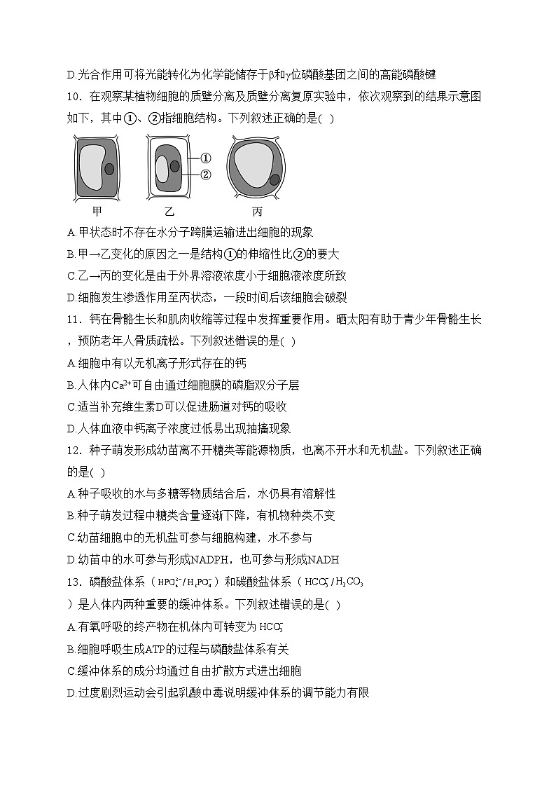 大连市第二十四中学2024-2025年高一上学期第二次月考生物试卷(含答案)第3页