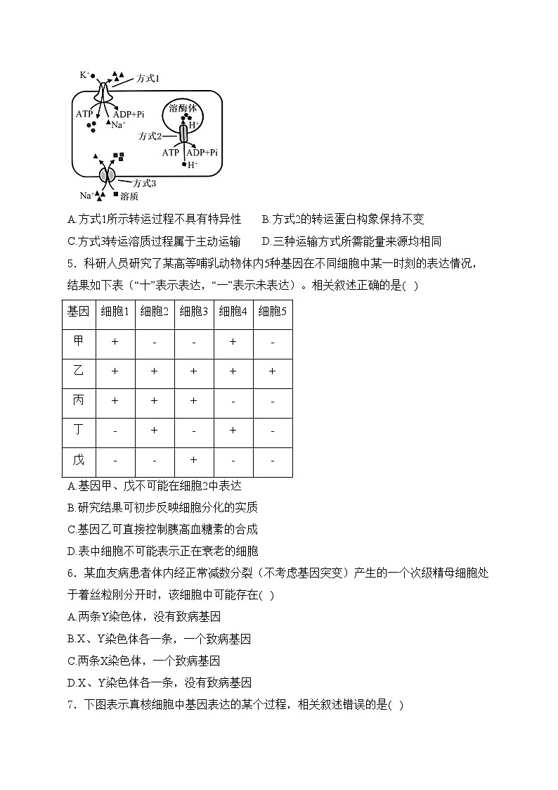 江苏省南通市新高考基地学校2025届高三上学期12月第一次大联考生物试卷(含答案)第2页