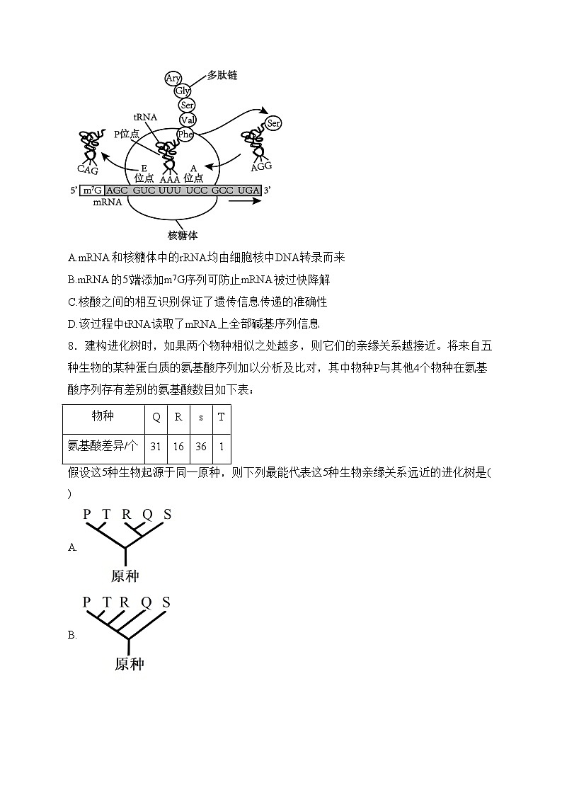 江苏省南通市新高考基地学校2025届高三上学期12月第一次大联考生物试卷(含答案)第3页