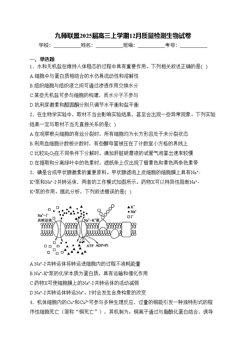 九师联盟2025届高三上学期12月质量检测生物试卷(含答案)第1页