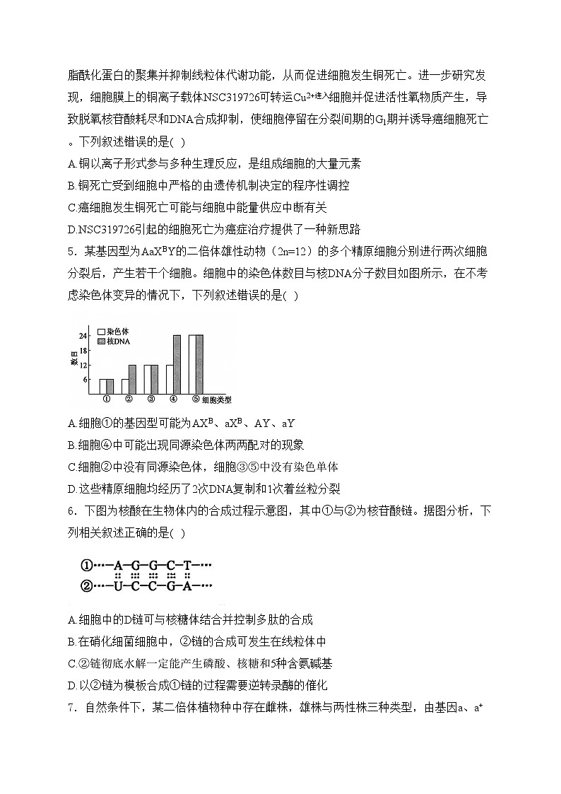 九师联盟2025届高三上学期12月质量检测生物试卷(含答案)第2页