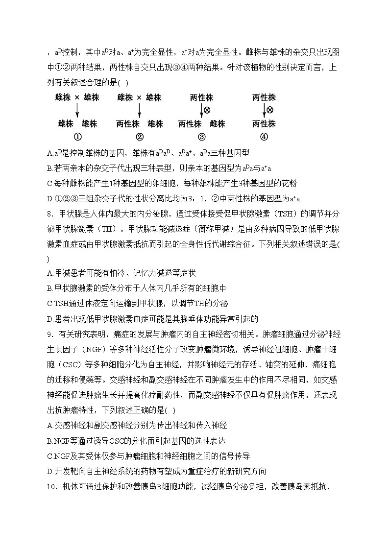 九师联盟2025届高三上学期12月质量检测生物试卷(含答案)第3页