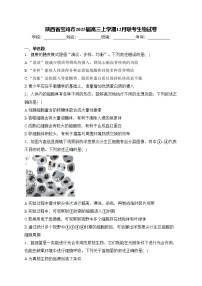陕西省宝鸡市2025届高三上学期12月联考生物试卷(含答案)