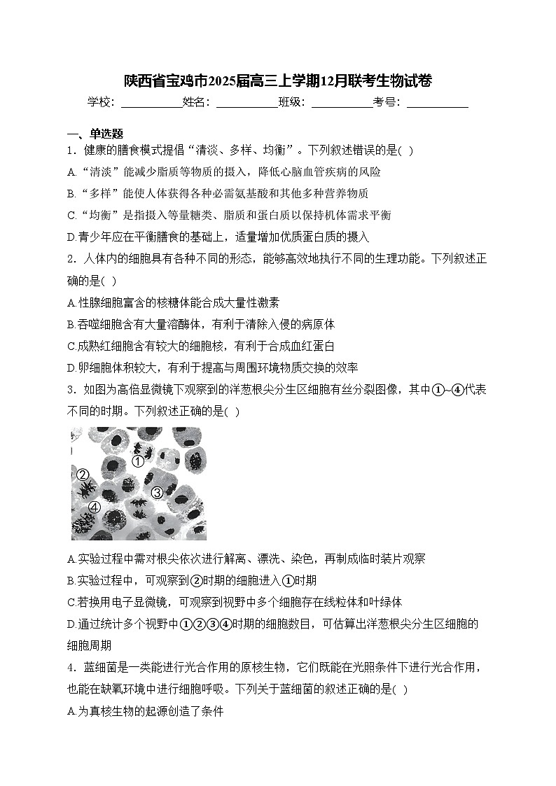 陕西省宝鸡市2025届高三上学期12月联考生物试卷(含答案)第1页