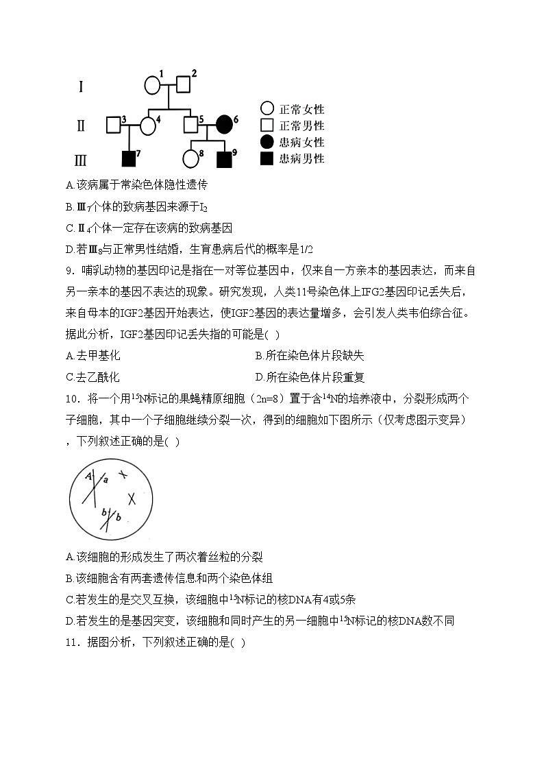 陕西省宝鸡市2025届高三上学期12月联考生物试卷(含答案)第3页
