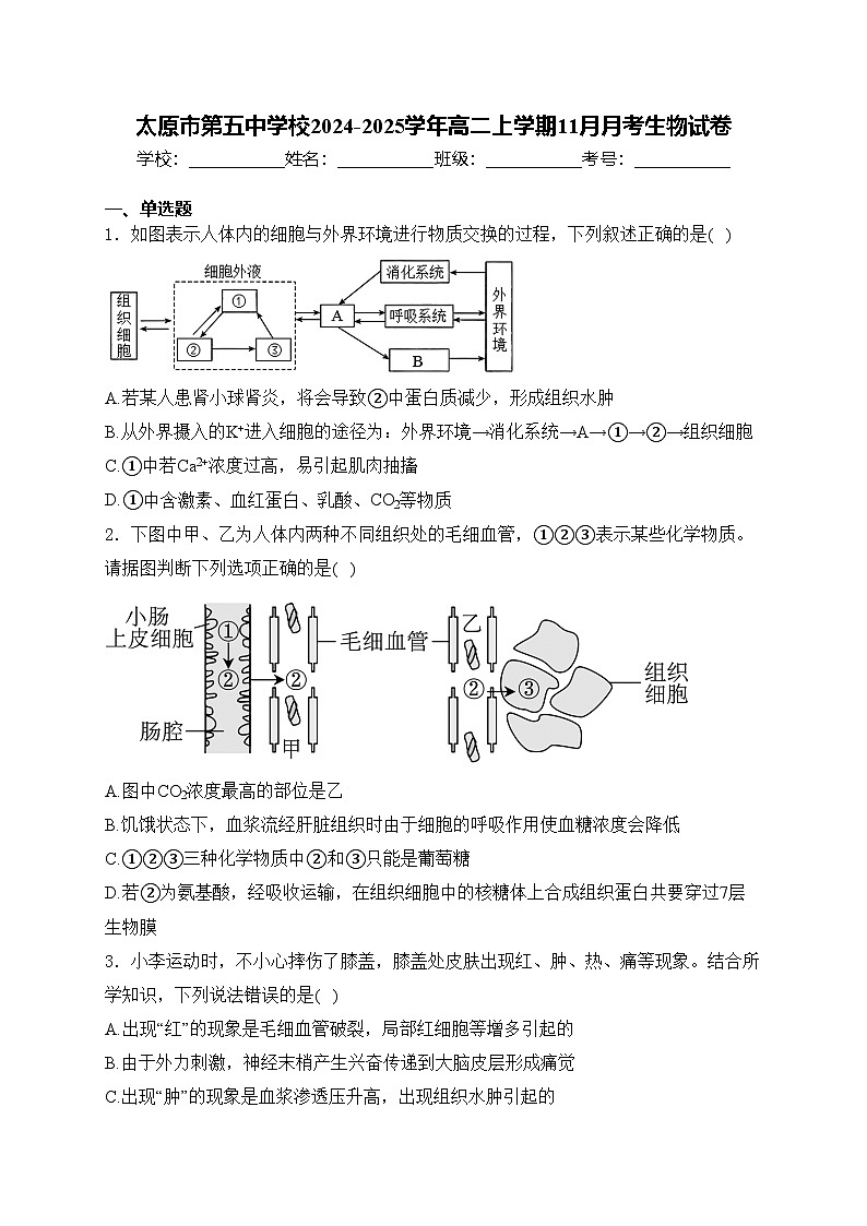 太原市第五中学校2024-2025学年高二上学期11月月考生物试卷(含答案)第1页
