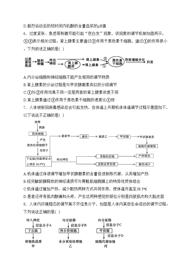 太原市第五中学校2024-2025学年高二上学期11月月考生物试卷(含答案)第3页