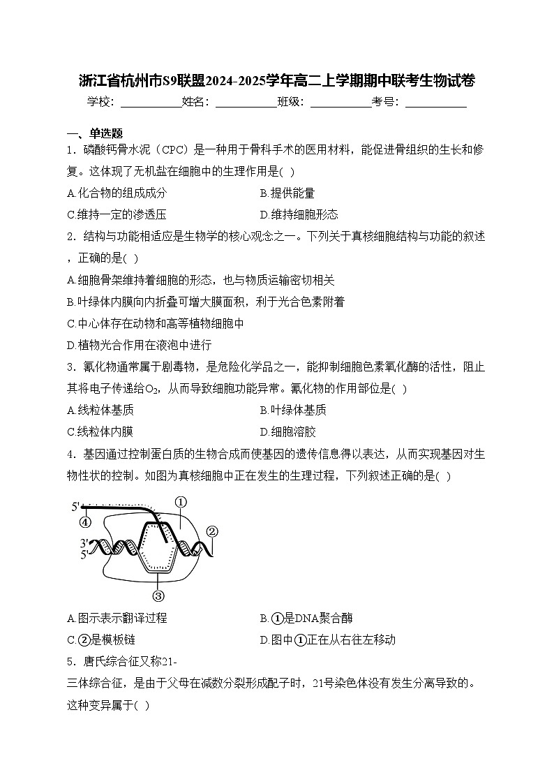 浙江省杭州市S9联盟2024-2025学年高二上学期期中联考生物试卷(含答案)第1页