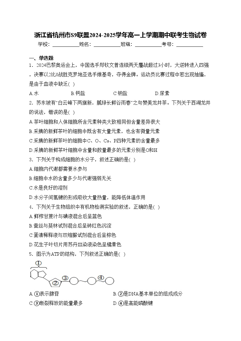 浙江省杭州市S9联盟2024-2025学年高一上学期期中联考生物试卷(含答案)