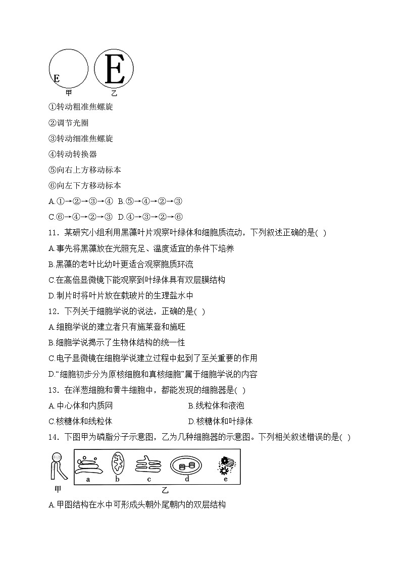 浙江省杭州市S9联盟2024-2025学年高一上学期期中联考生物试卷(含答案)第3页
