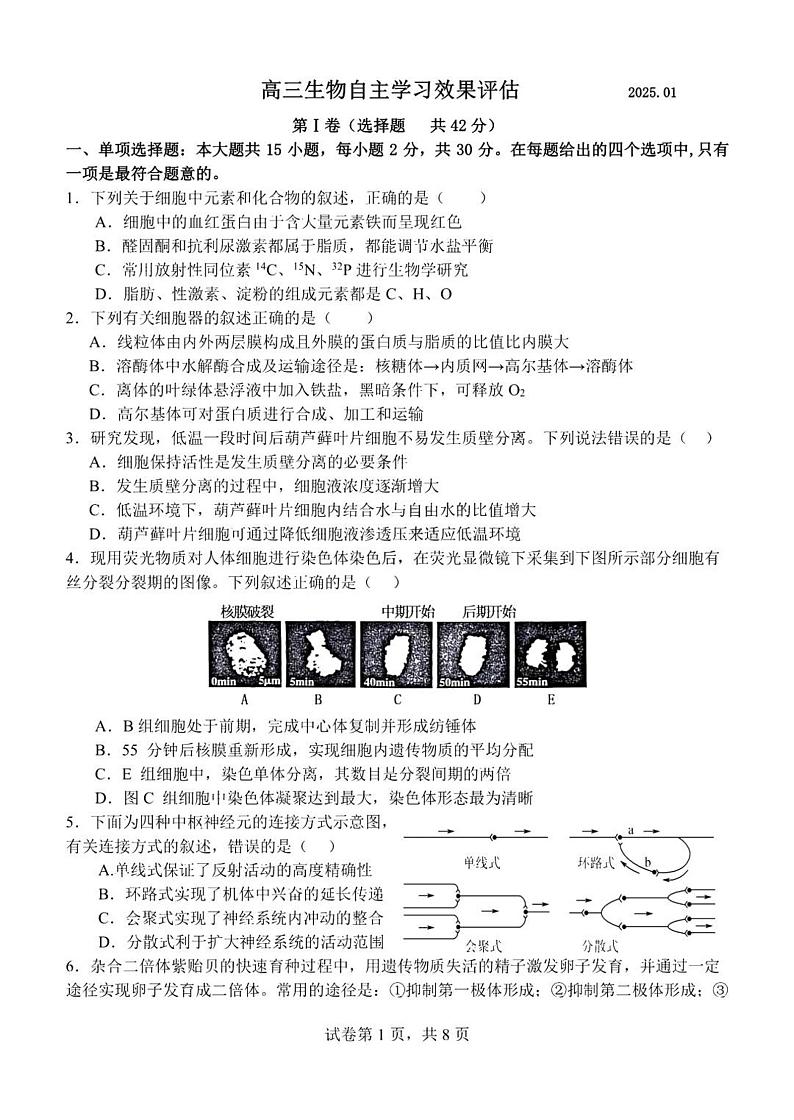 江苏省扬州中学2025届高三上学期1月月考生物试题+答案第1页